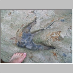 100_0969 (2009-28-07)m.JPG